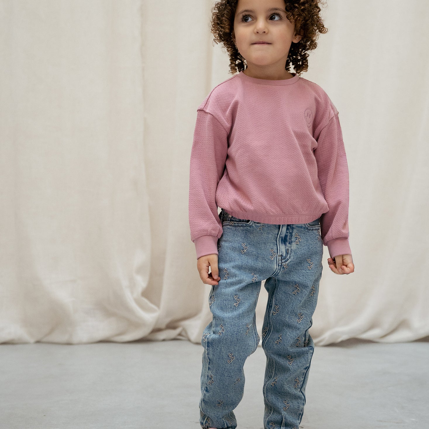 Jeans Mom Fit Embroidery - Used Medium Denim