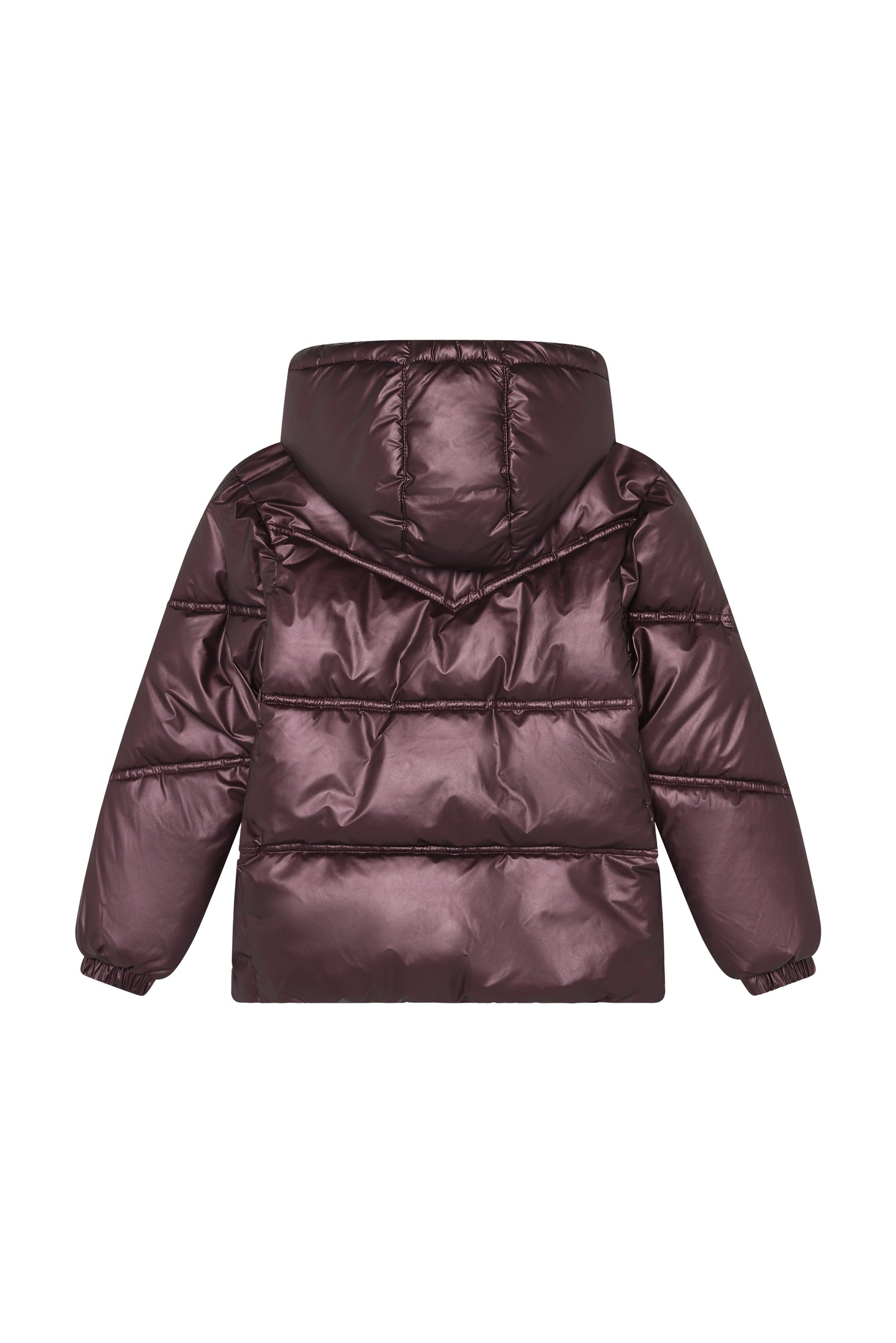 Winter jacket - Huckleberry